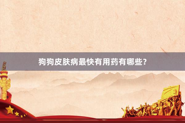 狗狗皮肤病最快有用药有哪些？